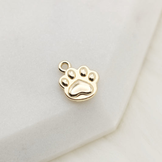 Purrfect Step Charm