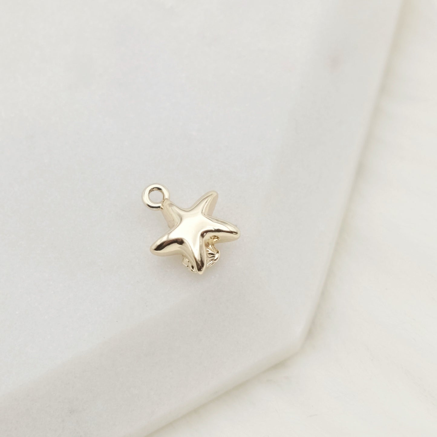 Starry Shell Charm