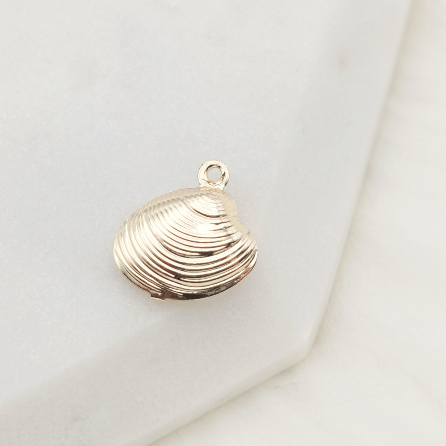 Treasure Shell Charm