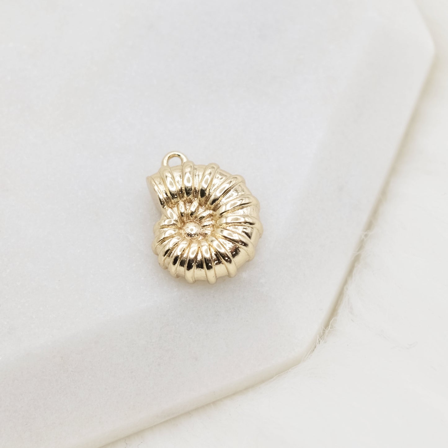 Sundial Shell Charm