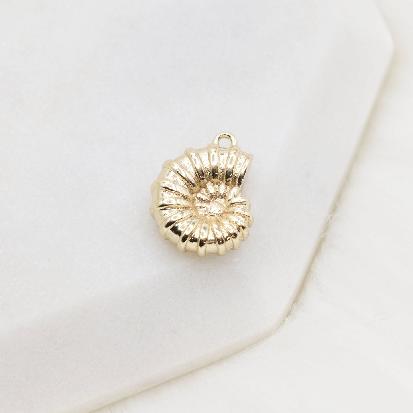 Sundial Shell Charm