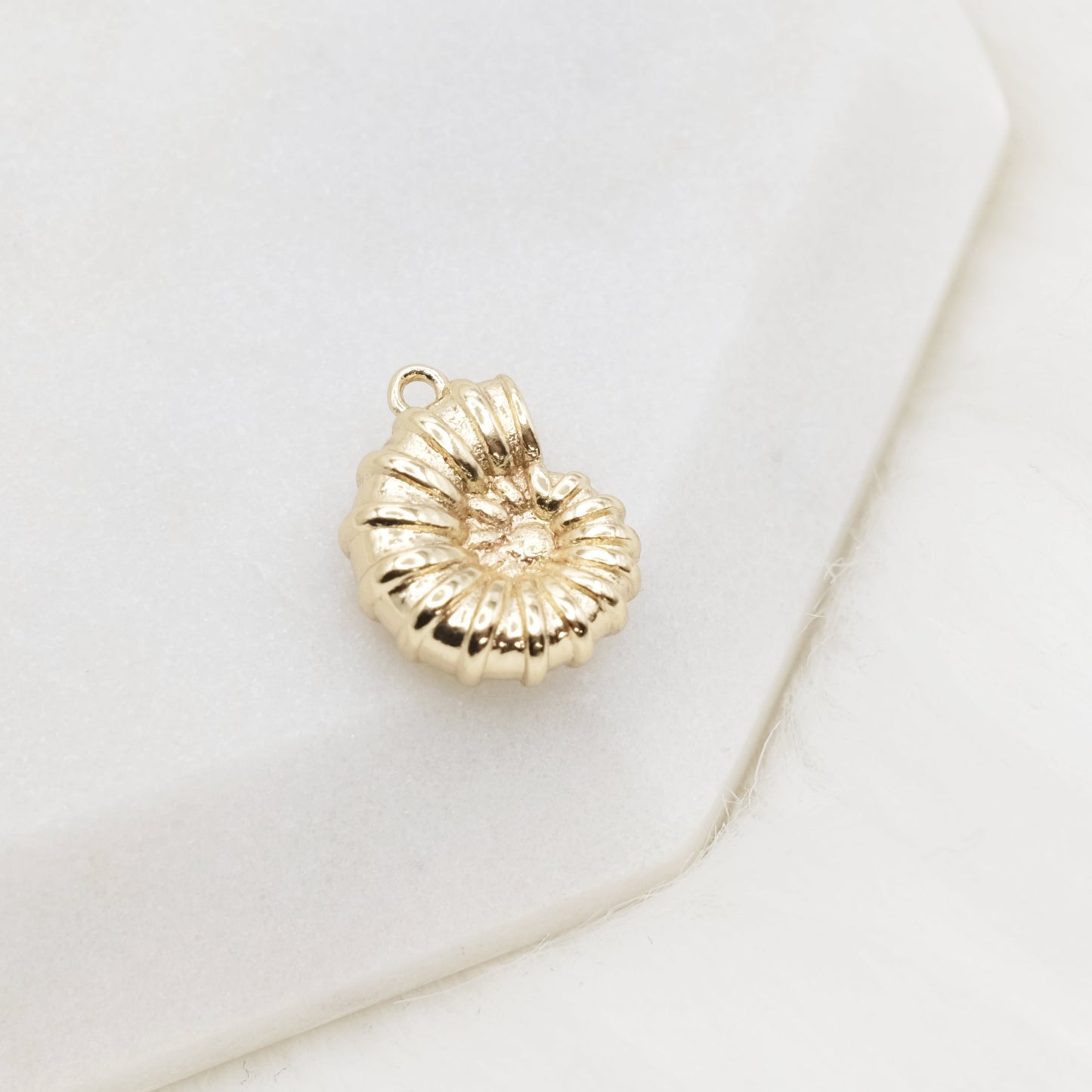 Sundial Shell Charm