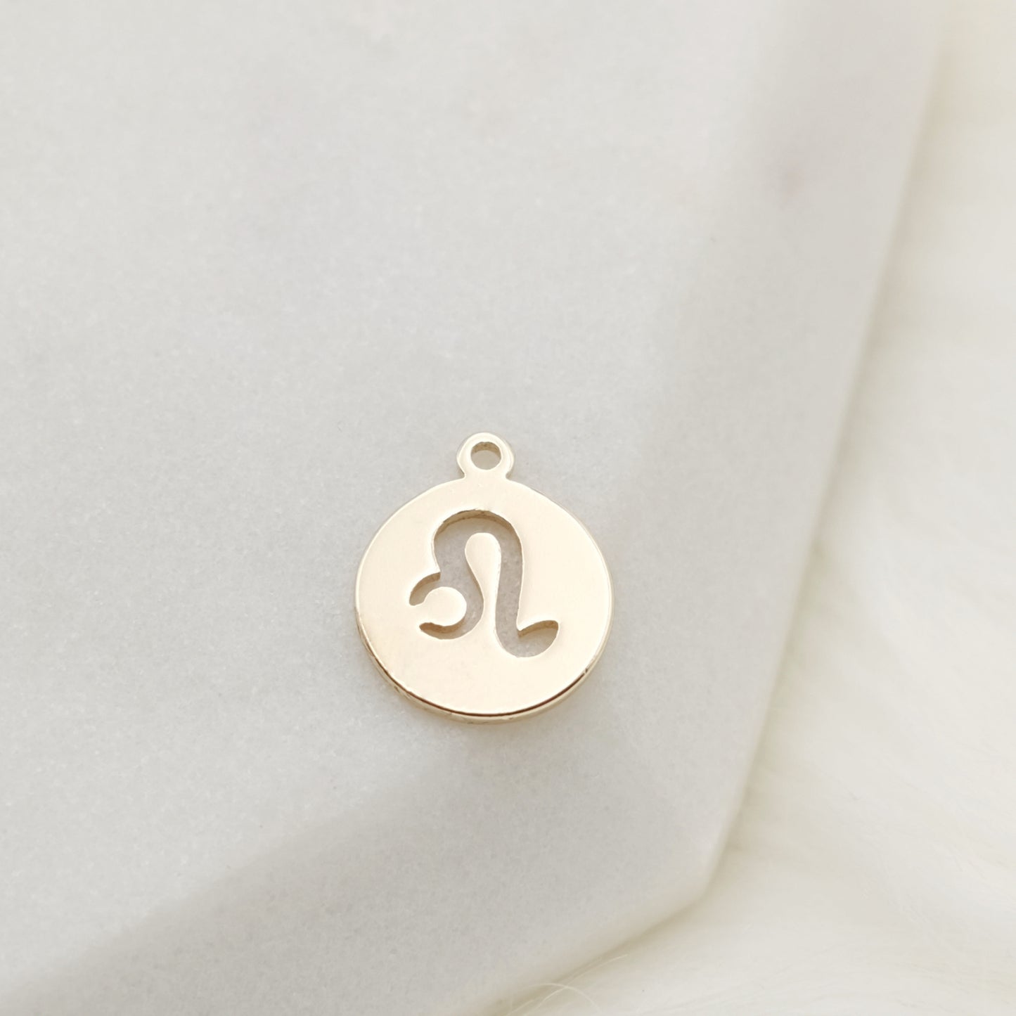 Round Tag Leo Zodiac Charm