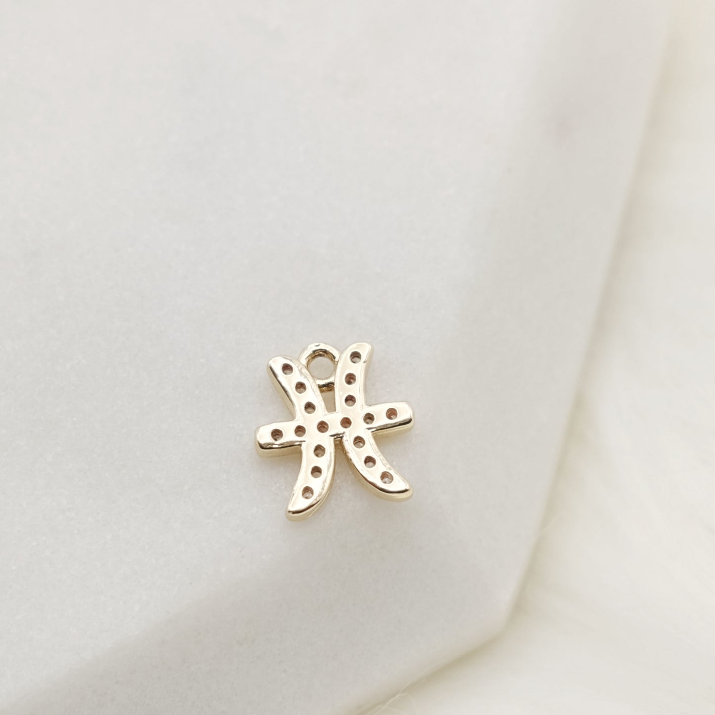 Shimmering Pisces Zodiac Charm