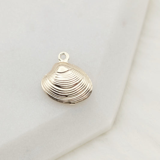 Treasure Shell Charm